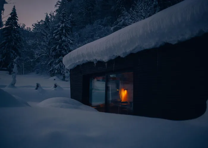 Cabinski Montafon Vakantiehuis