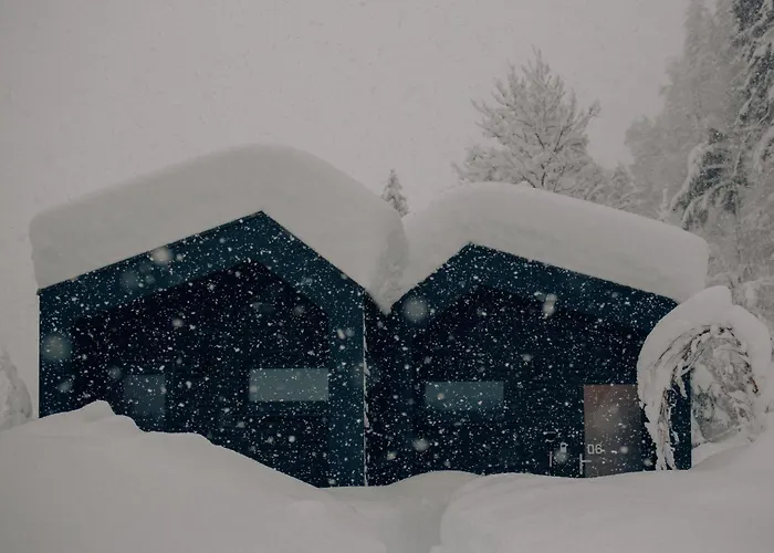 Cabinski Montafon Vakantiehuis *